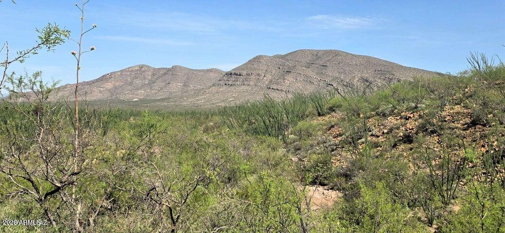 Tbd East Windmill Road Tombstone, AZ 85638 - Photo 2 of 12 TBD East Windmill Road