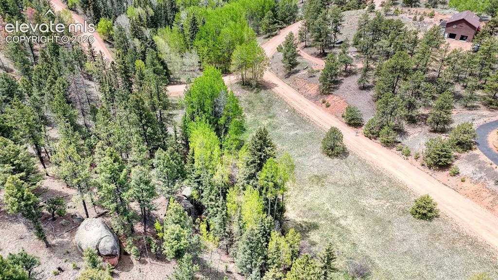 42 Rabbit Circle Florissant, CO 80816 - Photo 16 of 20 a view of a garden with a tree