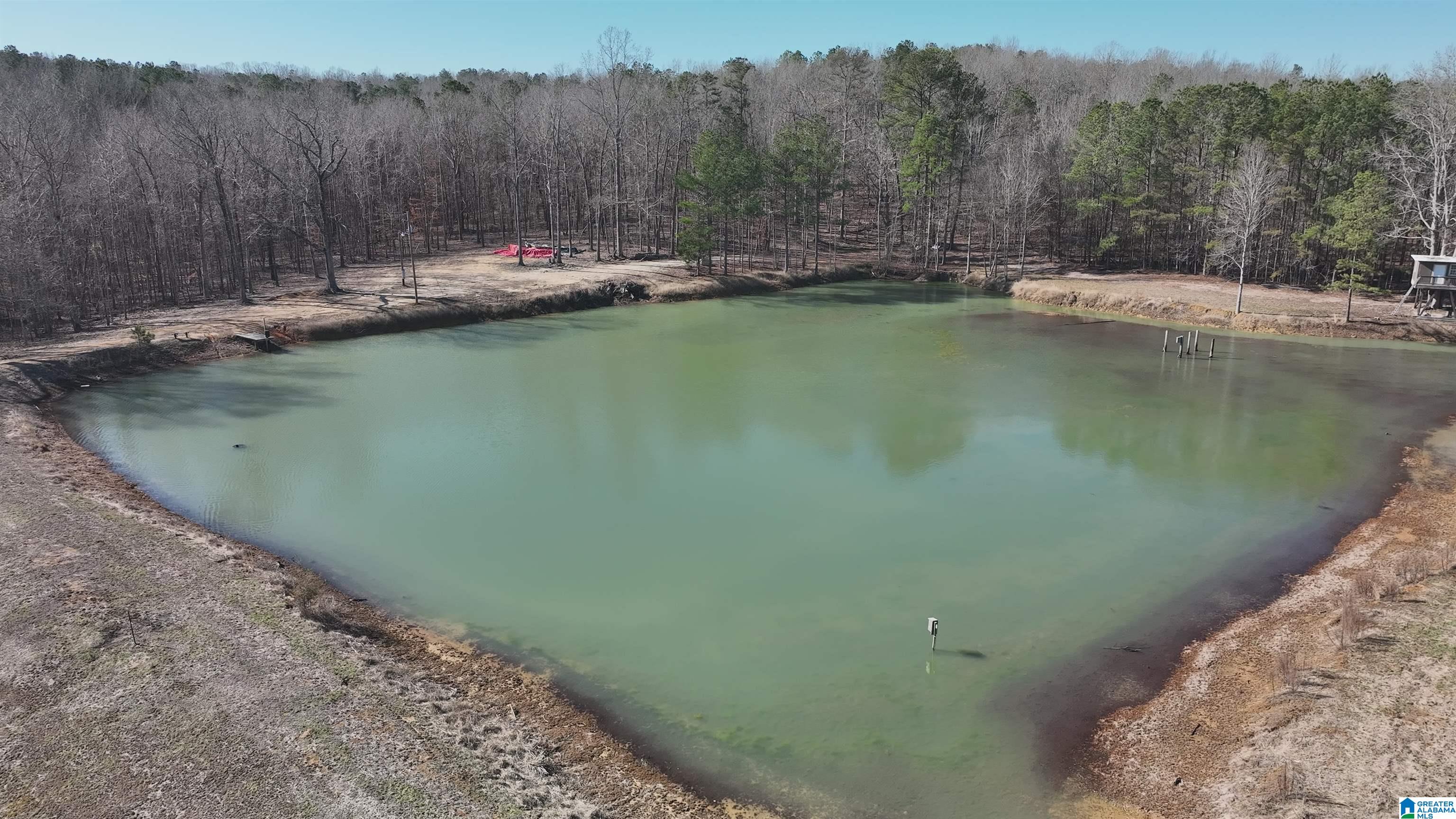 6171 Highway 102, Unit 1 Fayette, AL 35555 - Photo 28 of 68