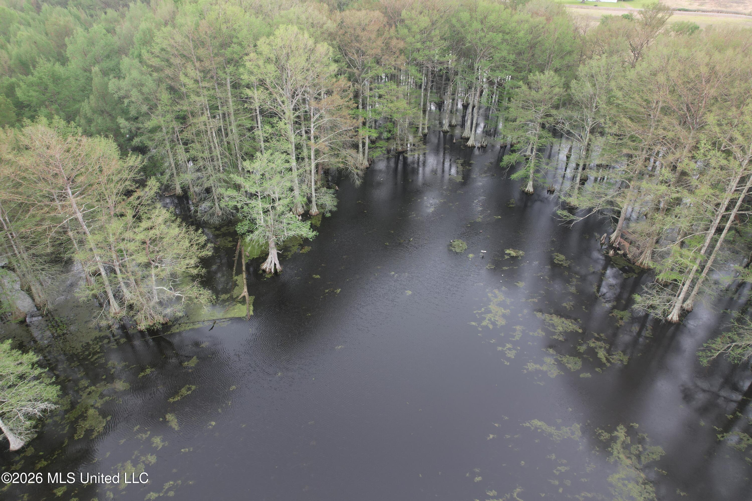 Shaw Road Sledge, MS 38670 - Photo 11 of 45 DJI_0234