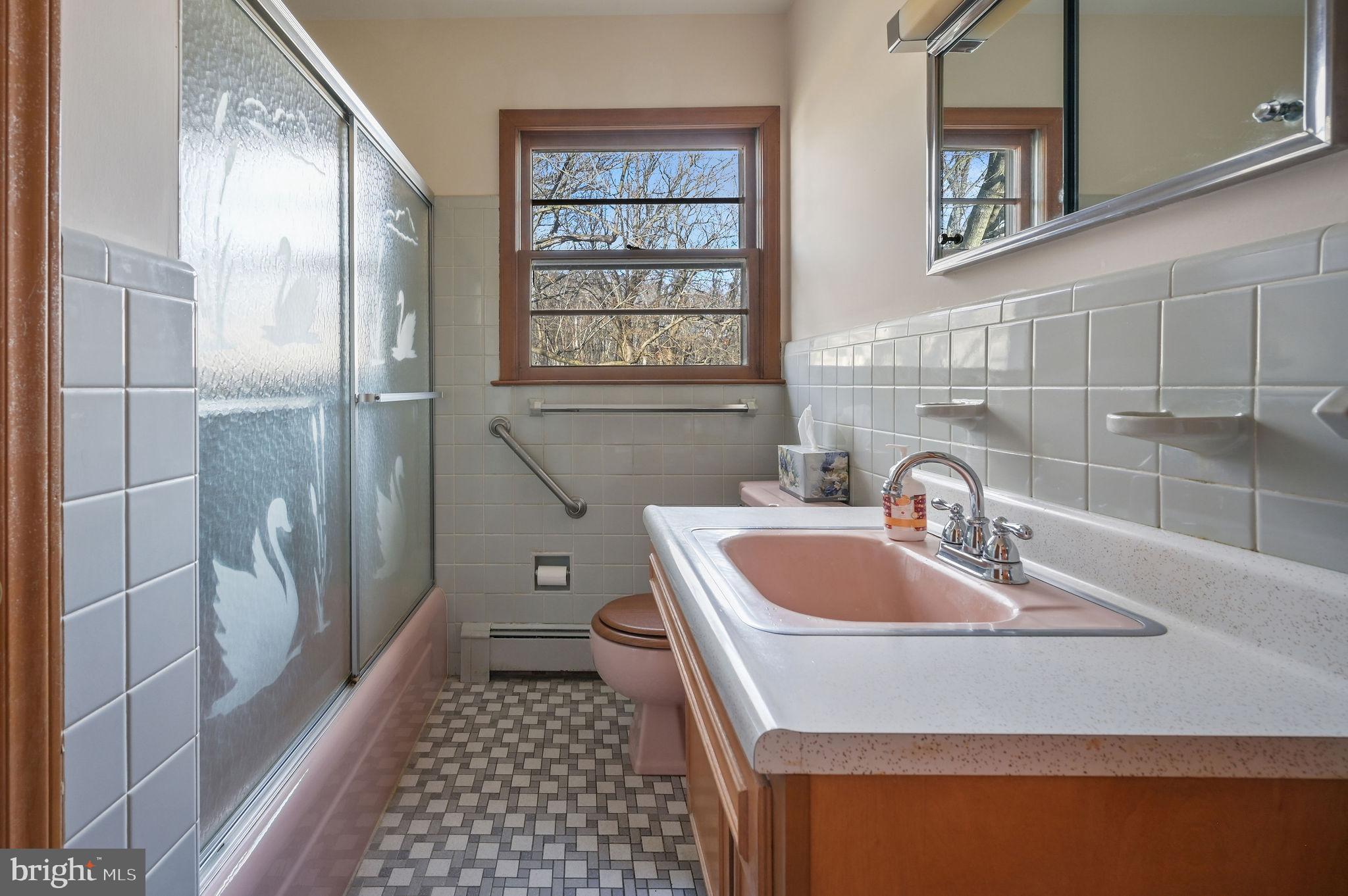 955 Twin Willows Road Smyrna, DE 19977 - Photo 18 of 27 a bathroom with a sink a toilet and shower