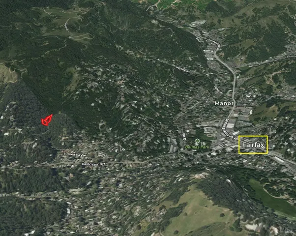 a view of a tree in a yard