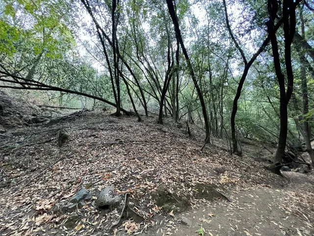 $99,900 | 0 Cypress Drive, Fairfax, CA 94930