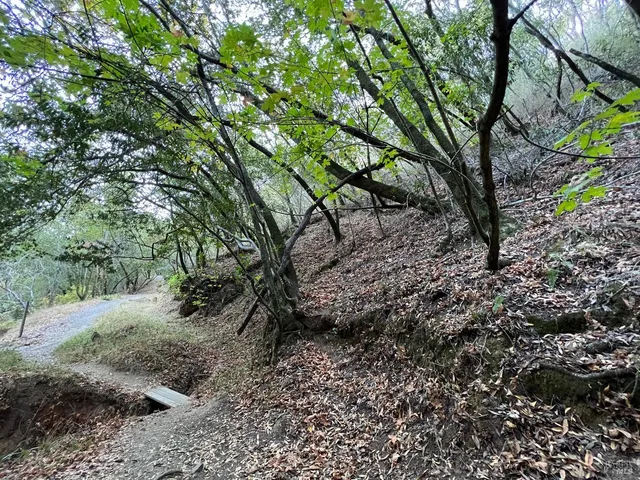 $99,900 | 0 Cypress Drive, Fairfax, CA 94930