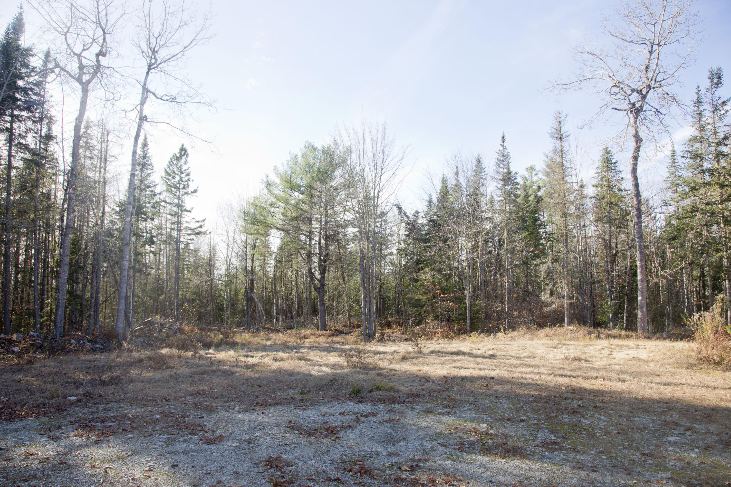 81 Poplar Road Glenburn, ME 04401 - Photo 6 of 16 Meadow