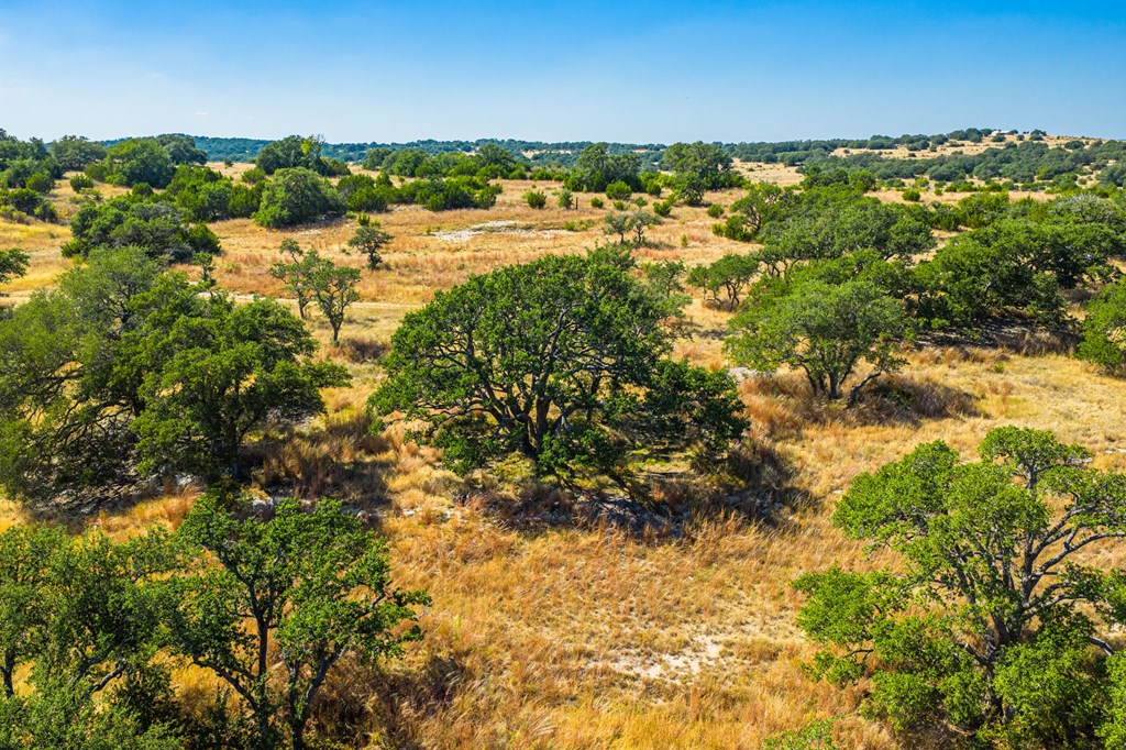 1495 Walnut Springs Road, Unit 68 Johnson City, TX 78636 - Photo 5 of 23 a view of a city