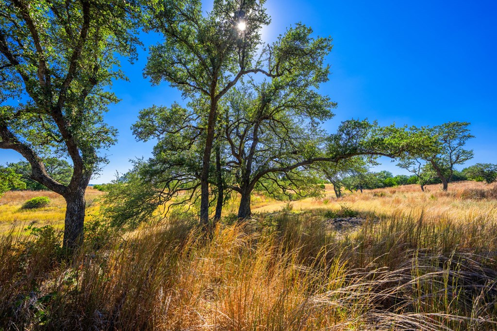 1495 Walnut Springs Road, Unit 68 Johnson City, TX 78636 - Photo 7 of 23 a view of an ocean