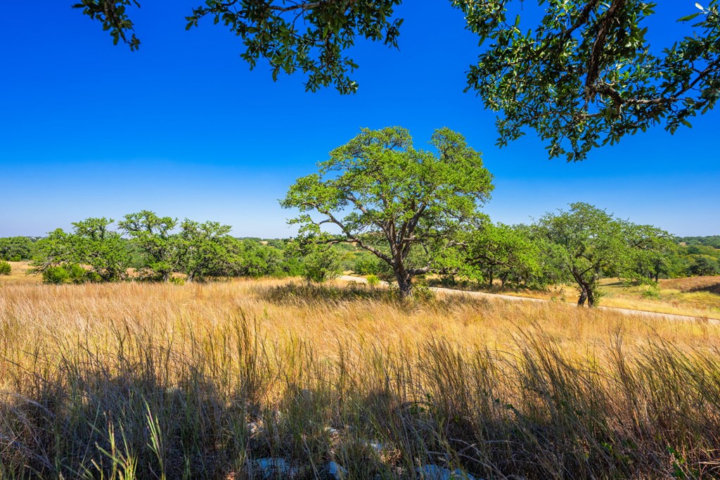 1495 Walnut Springs Road, Unit 68 Johnson City, TX 78636 - Photo 8 of 23 a view of a lake