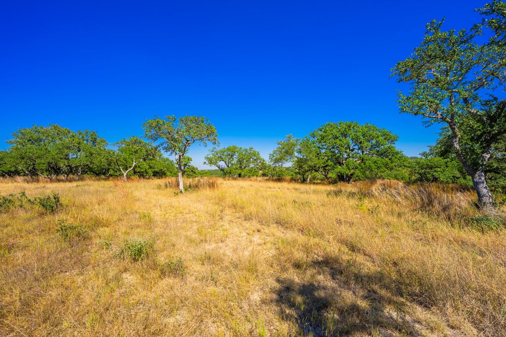 1495 Walnut Springs Road, Unit 68 Johnson City, TX 78636 - Photo 9 of 23 a view of a lake view