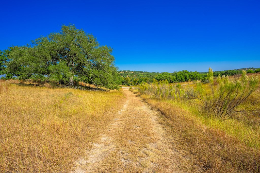 1495 Walnut Springs Road, Unit 68 Johnson City, TX 78636 - Photo 10 of 23 a view of an ocean