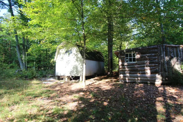 $260,000 | 16698 220th Avenue, Big Rapids, MI 49307