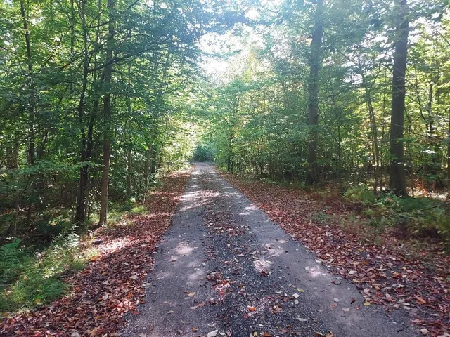 $260,000 | 16698 220th Avenue, Big Rapids, MI 49307