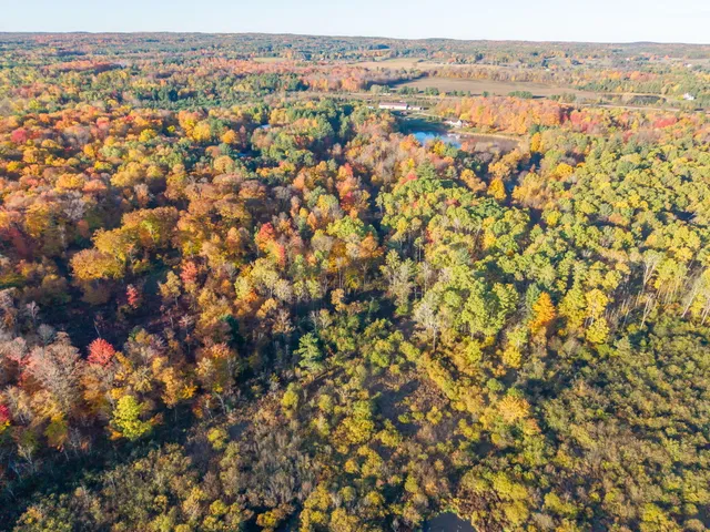 $260,000 | 16698 220th Avenue, Big Rapids, MI 49307