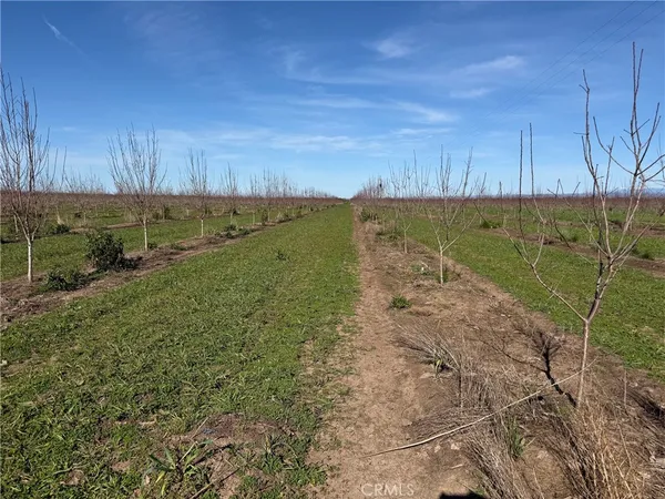 a view of a field with an ocean