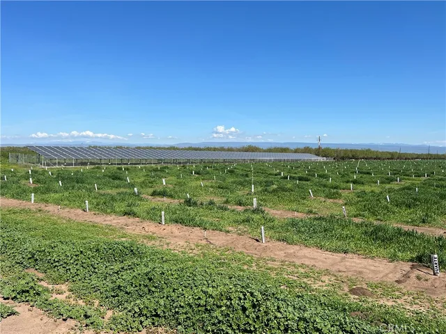 a view of a garden with an outdoor space