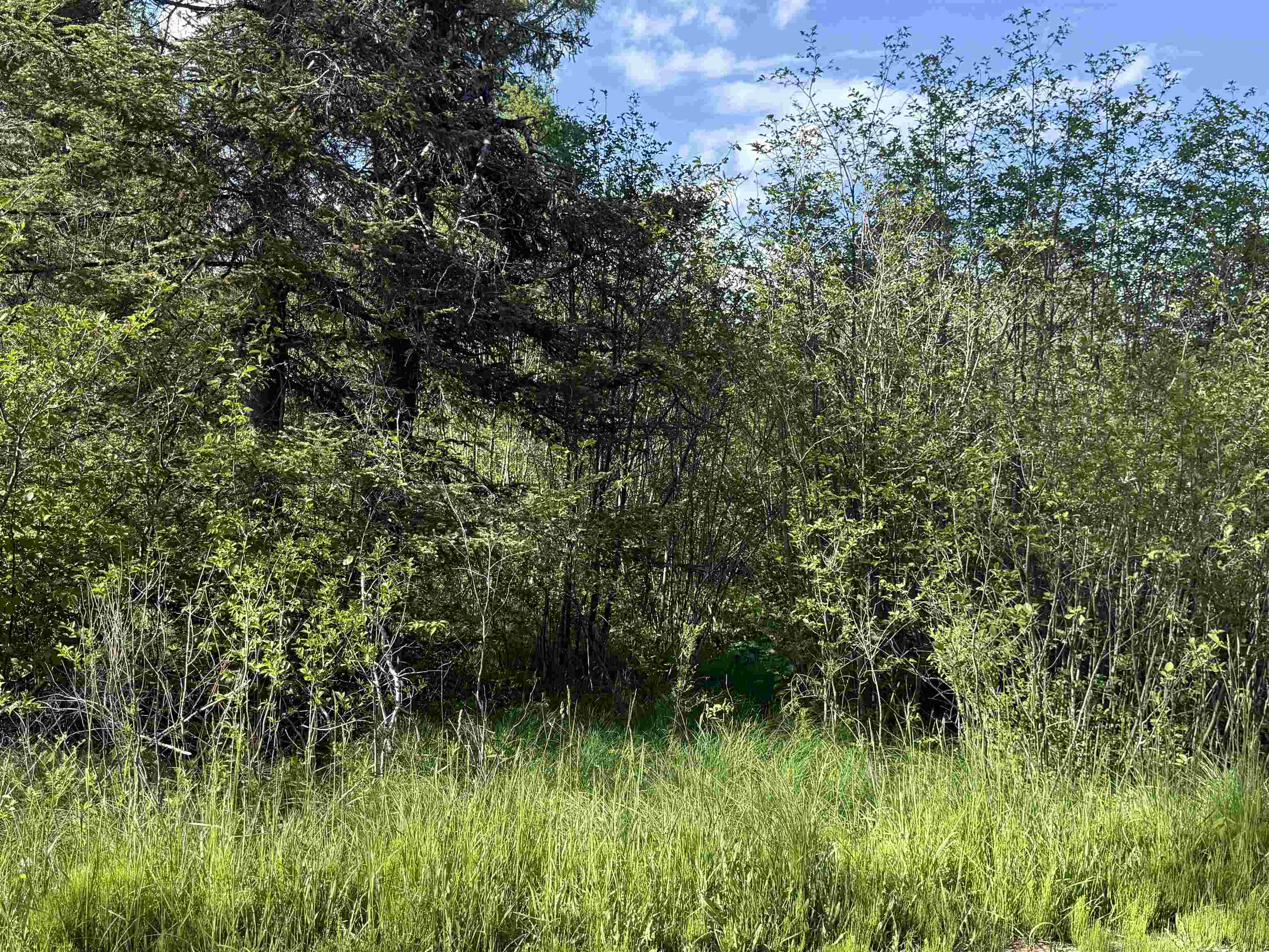 17110 21 Mile Road Tustin, MI 49688 - Photo 10 of 18