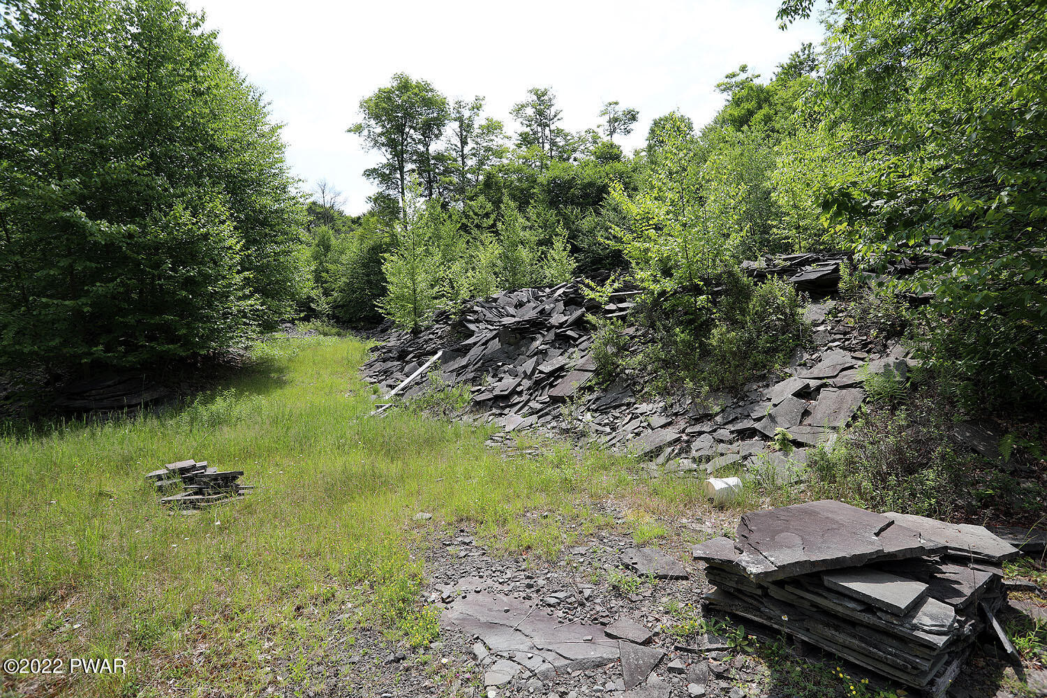 0 Minckler Mountain Road Damascus, PA 18415 - Photo 23 of 43