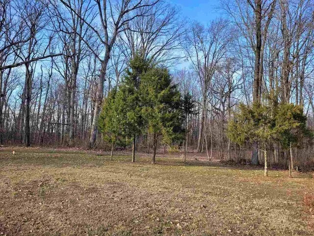 a backyard of a house with lots of green space