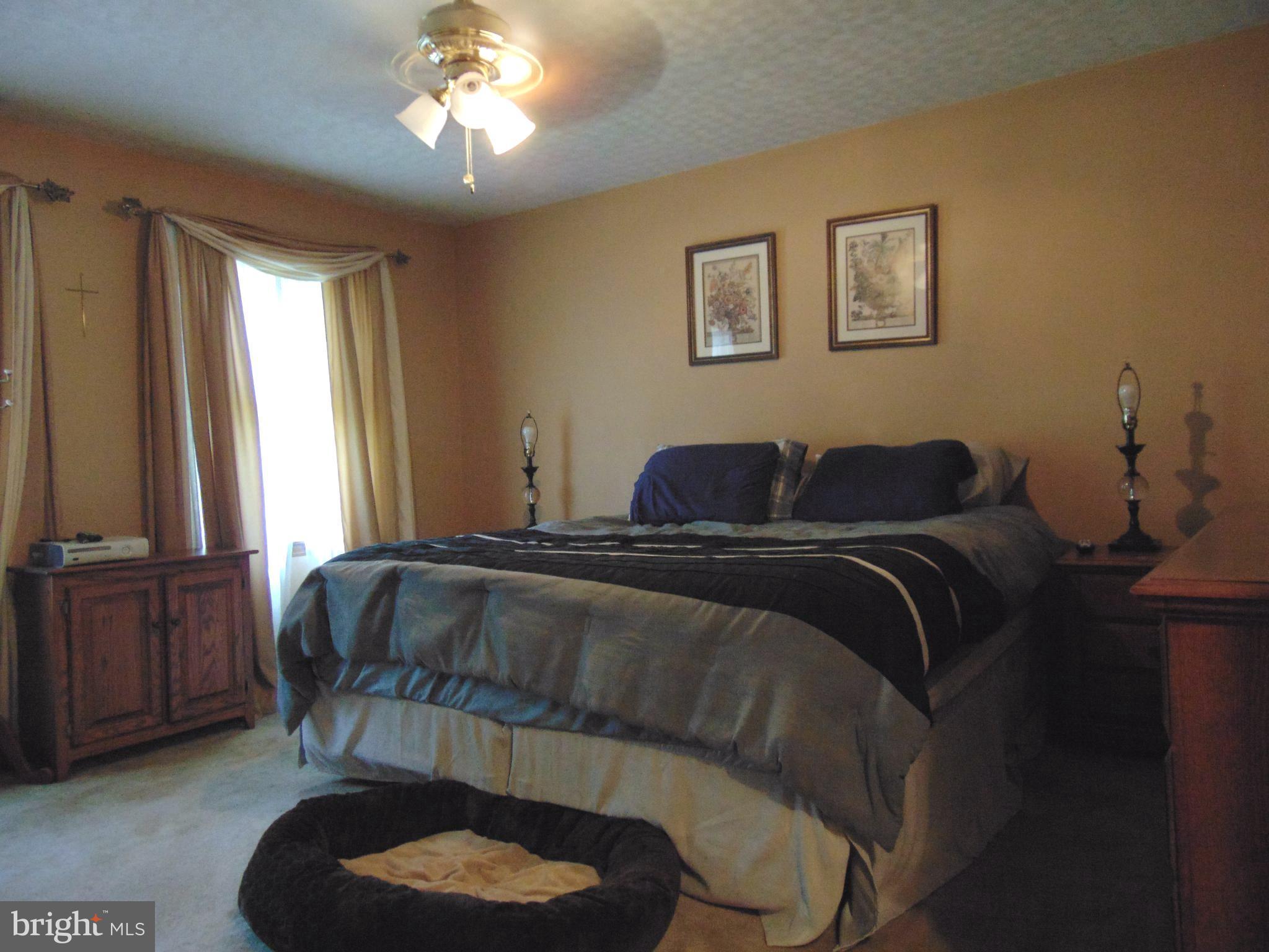 8411 Berkfield Road Baltimore, MD 21237 - Photo 12 of 23 Master w/ Walk-in Closet AND Double Door Closet