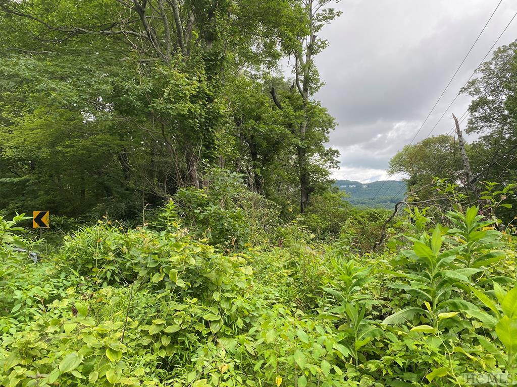 Tbd Dillard Road Highlands, NC 28741 - Photo 1 of 11 Gallery Image 1
