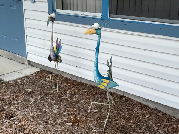 a close view of a sink