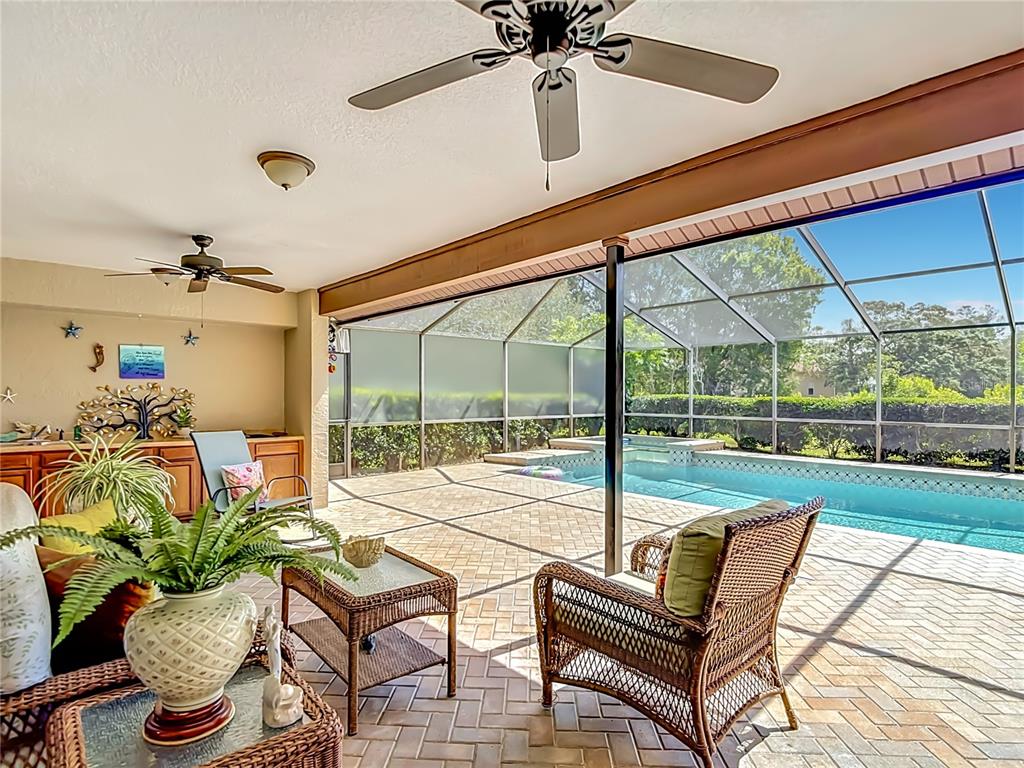 4306 River Birch Drive Spring Hill, FL 34607 - Photo 65 of 84