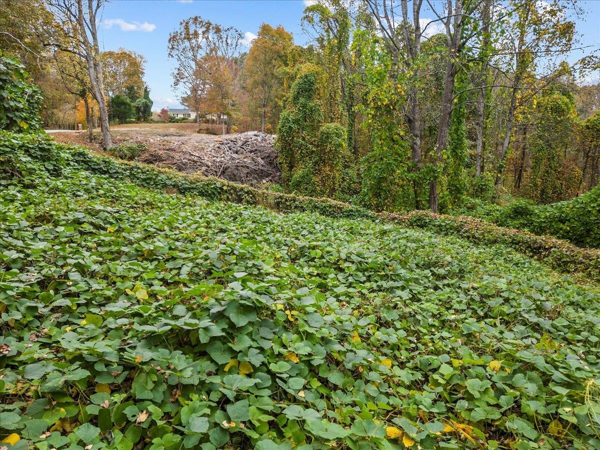 565 Hunts Bridge Road Easley, SC 29640 - Photo 4 of 10