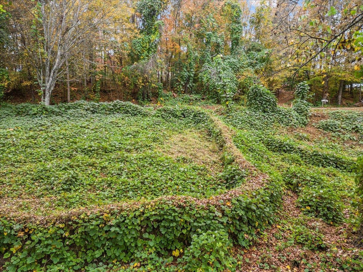 565 Hunts Bridge Road Easley, SC 29640 - Photo 5 of 10