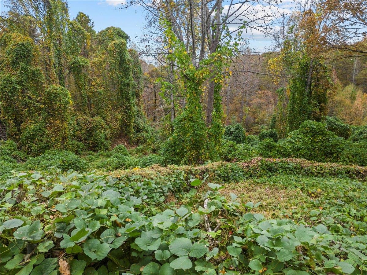 565 Hunts Bridge Road Easley, SC 29640 - Photo 6 of 10