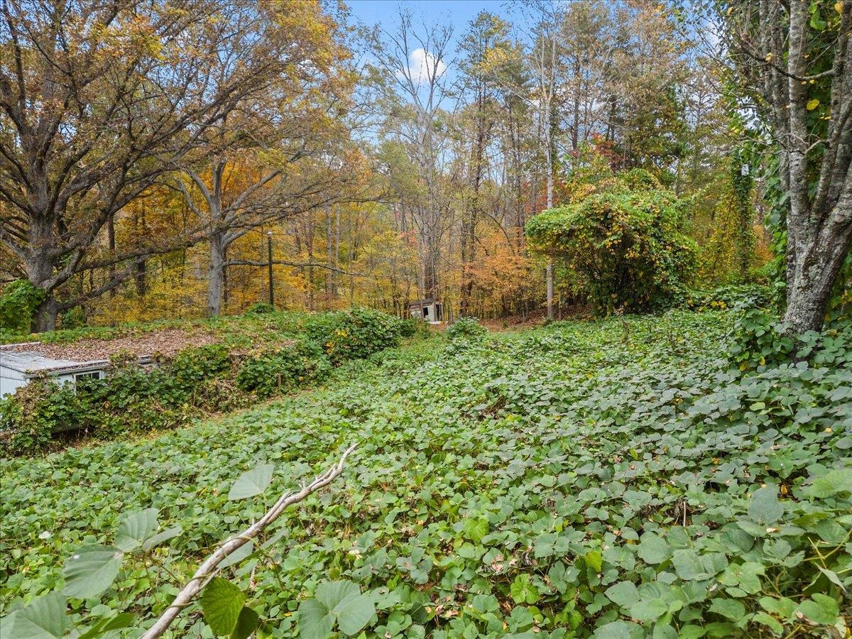 565 Hunts Bridge Road Easley, SC 29640 - Photo 7 of 10