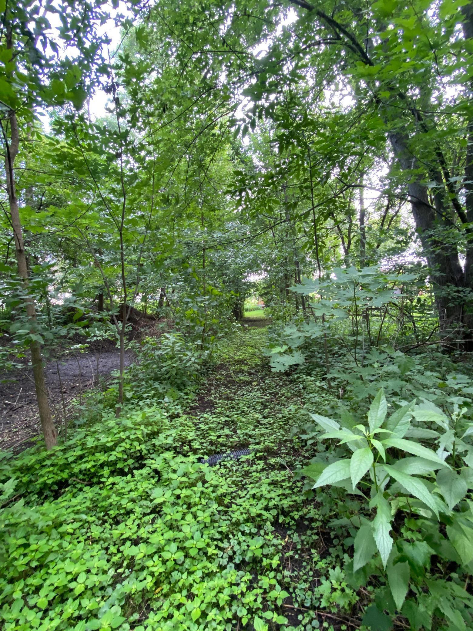 340 Perry Court Zumbrota, MN 55992 - Photo 63 of 74