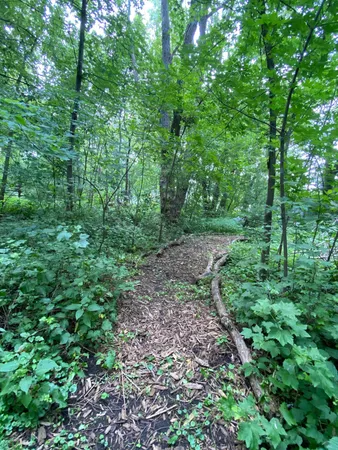 $489,900 | 340 Perry Court, Zumbrota, MN 55992