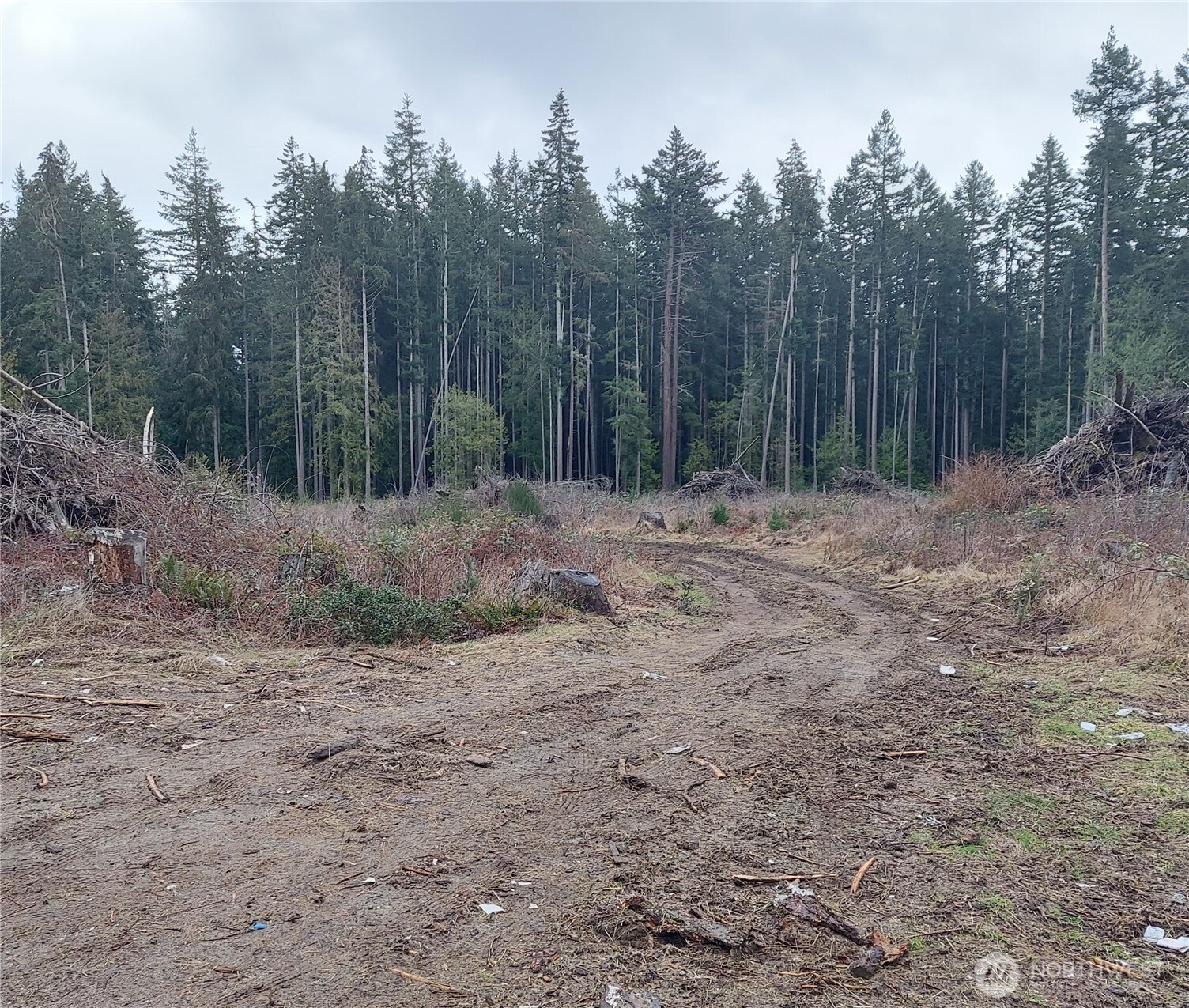 -nhn Bayview Road Clinton, WA 98236 - Photo 1 of 1 Gallery Image 1