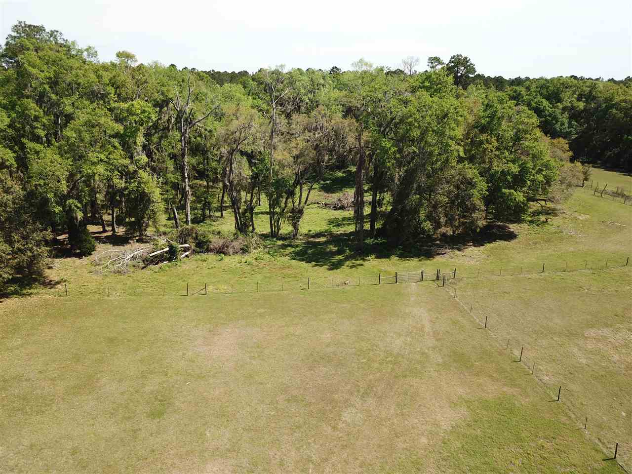 1144 Northeast Garden Road Madison, FL 32340 - Photo 8 of 28 Gallery Image 8