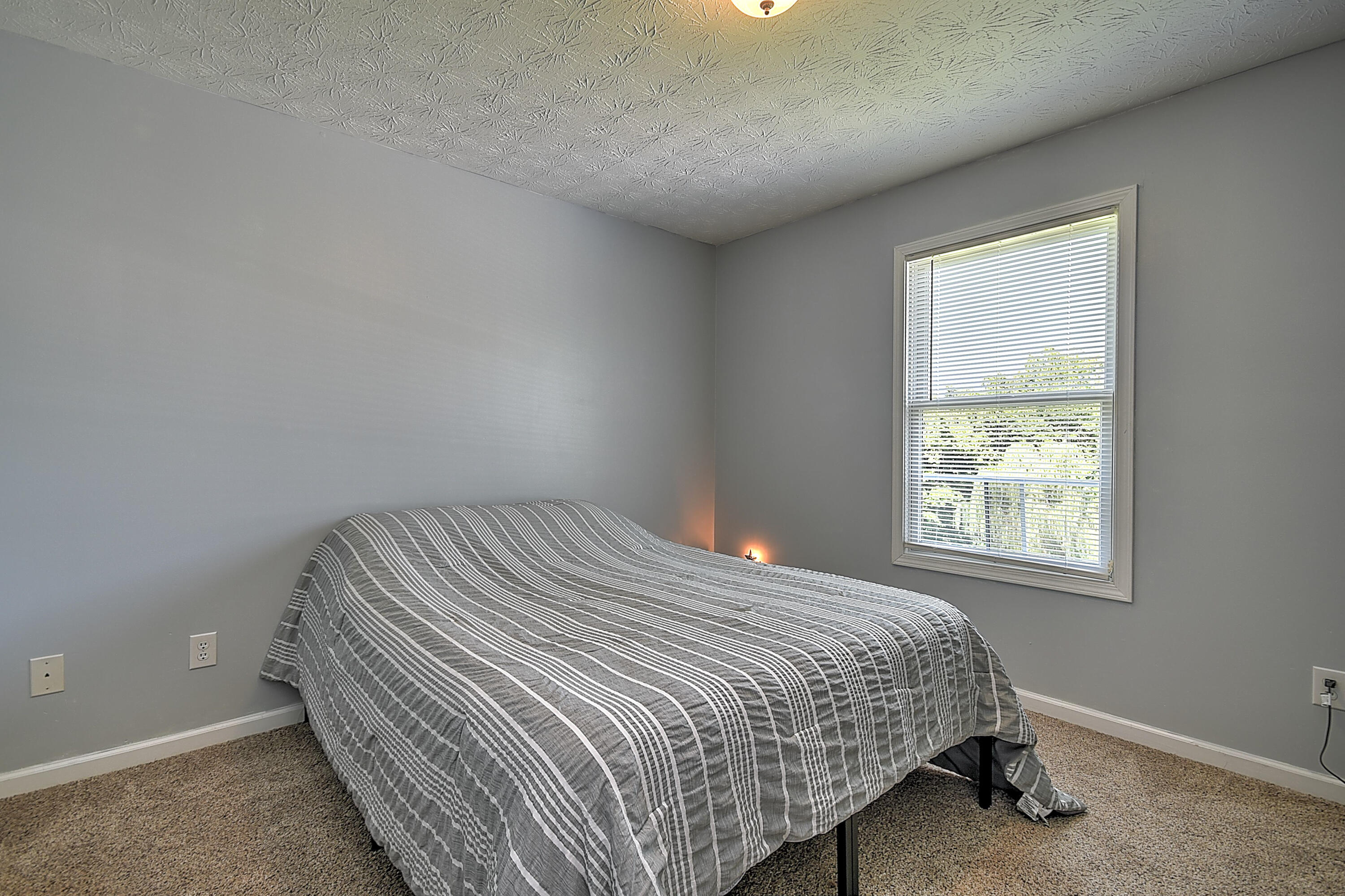 181 East Ridges Drive Chuckey, TN 37641 - Photo 21 of 39 E Ridges-22