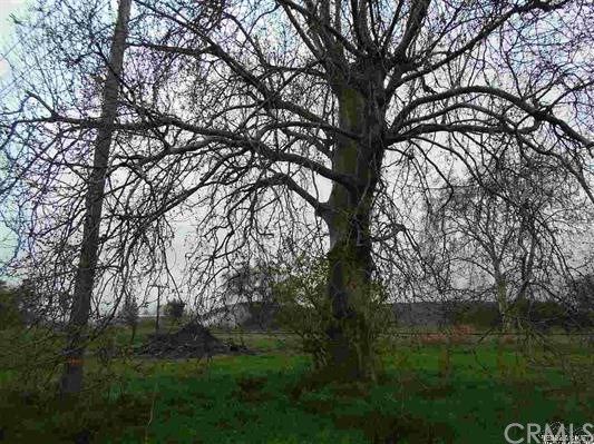 0 Grange Road Corning, CA 96021 - Photo 1 of 1