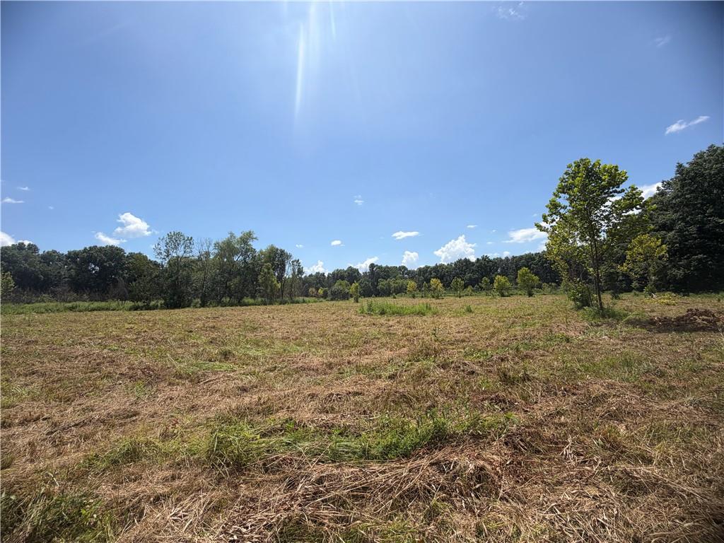 Tbd Campbell Road Knob Noster, MO 65336 - Photo 74 of 88 Gallery Image 74