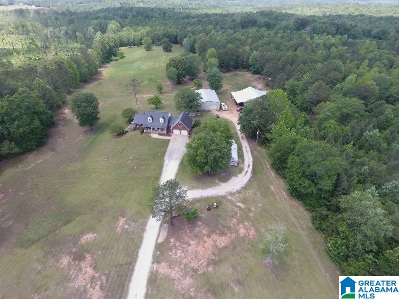 4747 County Road 33 Wadley, AL 36276 - Photo 3 of 36