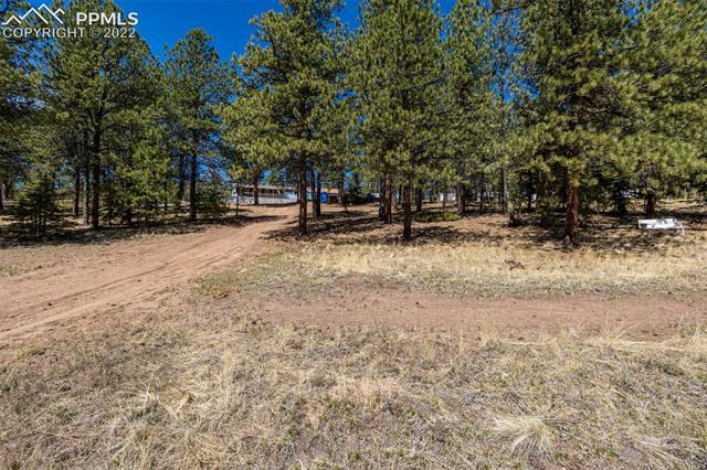 2173 Pathfinder Road Florissant, CO 80816 - Photo 5 of 34 Gallery Image 5