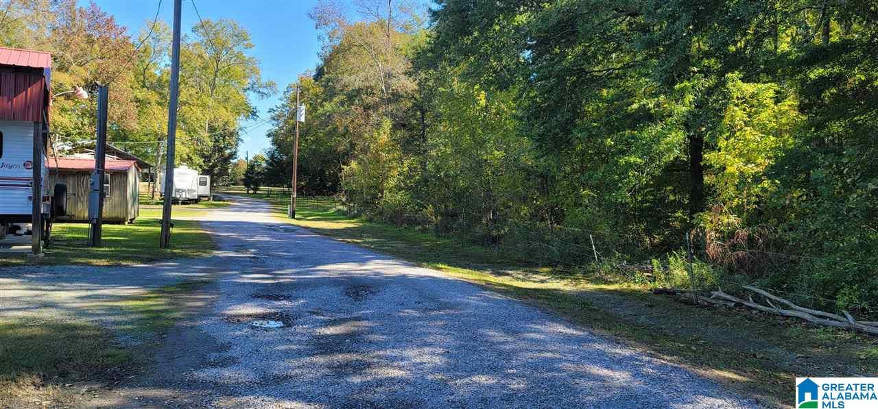 2500 Moneys Bend Road Cedar Bluff, AL 35959 - Photo 6 of 9