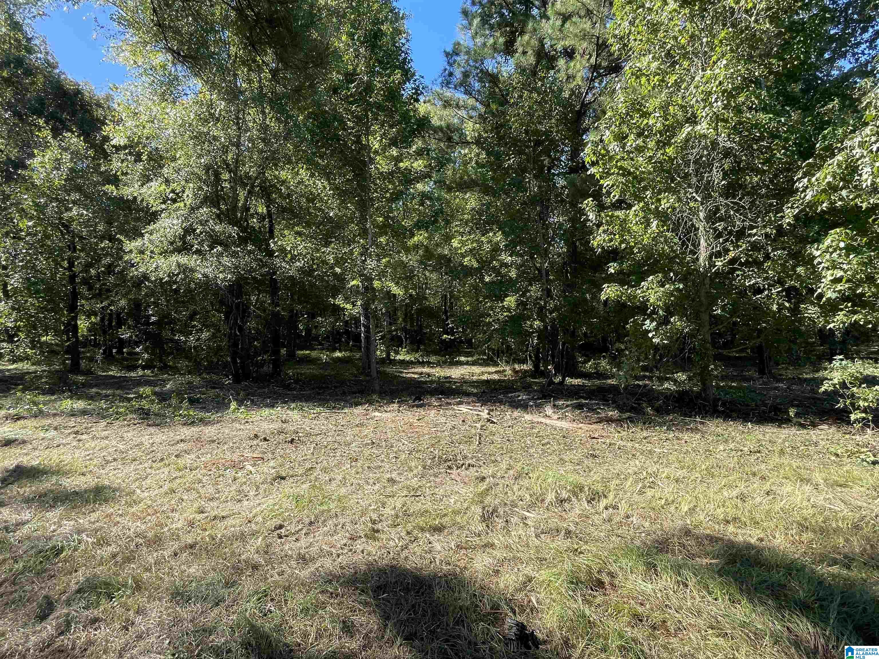 0 Paradise Point Drive Columbiana, AL 35051 - Photo 5 of 23