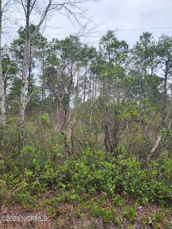 $12,000 | Lot 8 Pennsylvania Avenue, Rocky Point, NC 28457