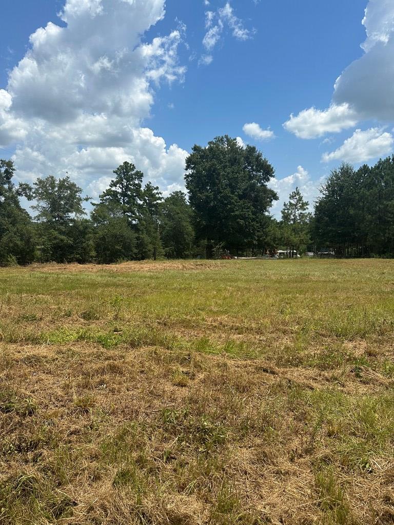 0 Thomley Road Newton, AL 36352 - Photo 3 of 8