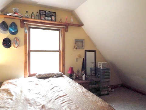 19135 Stanton Road Thompsonville, MI 49683 - Photo 11 of 23 1822384-10.JPG