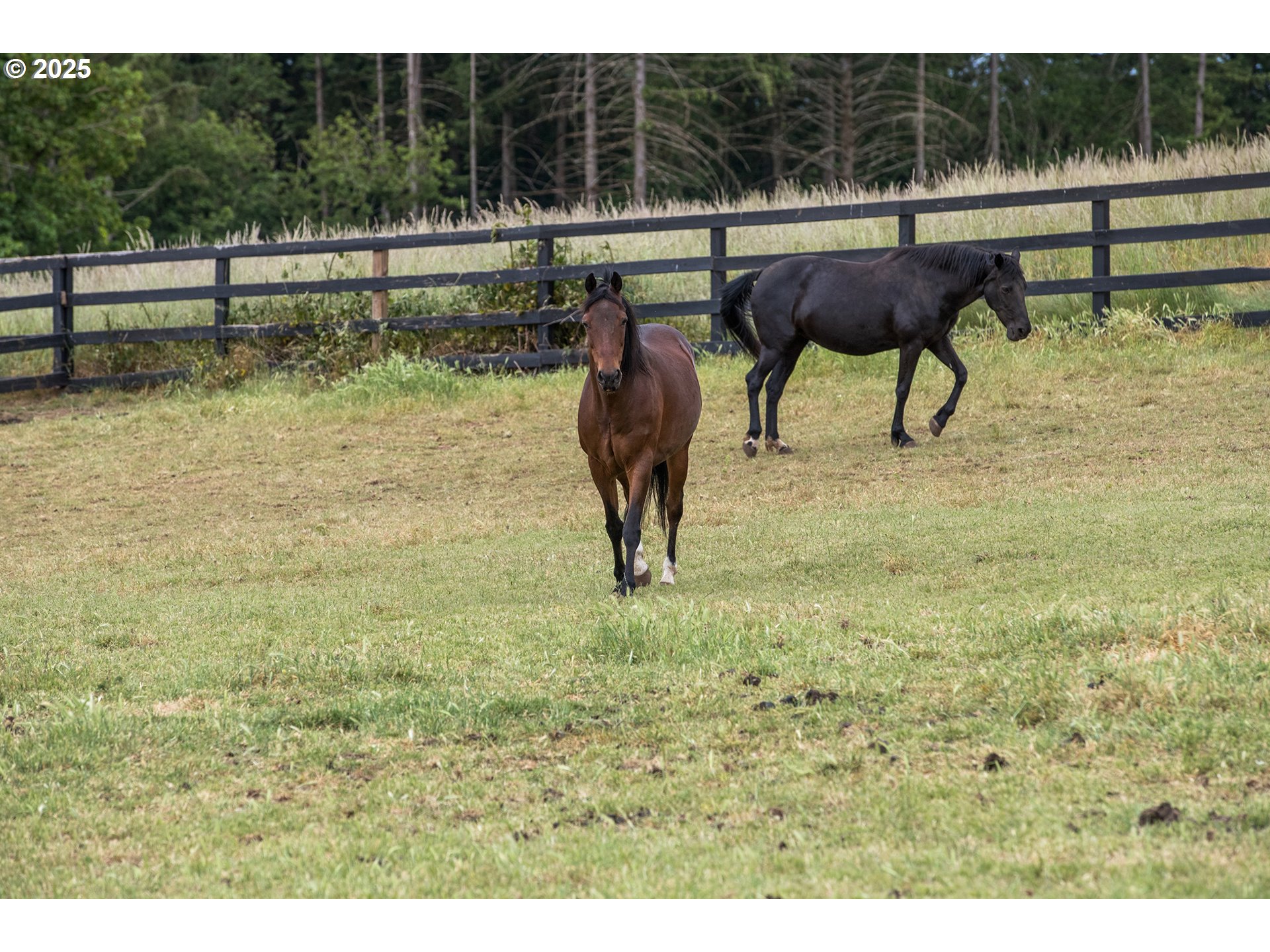 34680 Northeast Kramien Road Newberg, OR 97132 - Photo 40 of 40 a view of yard with outdoor seating