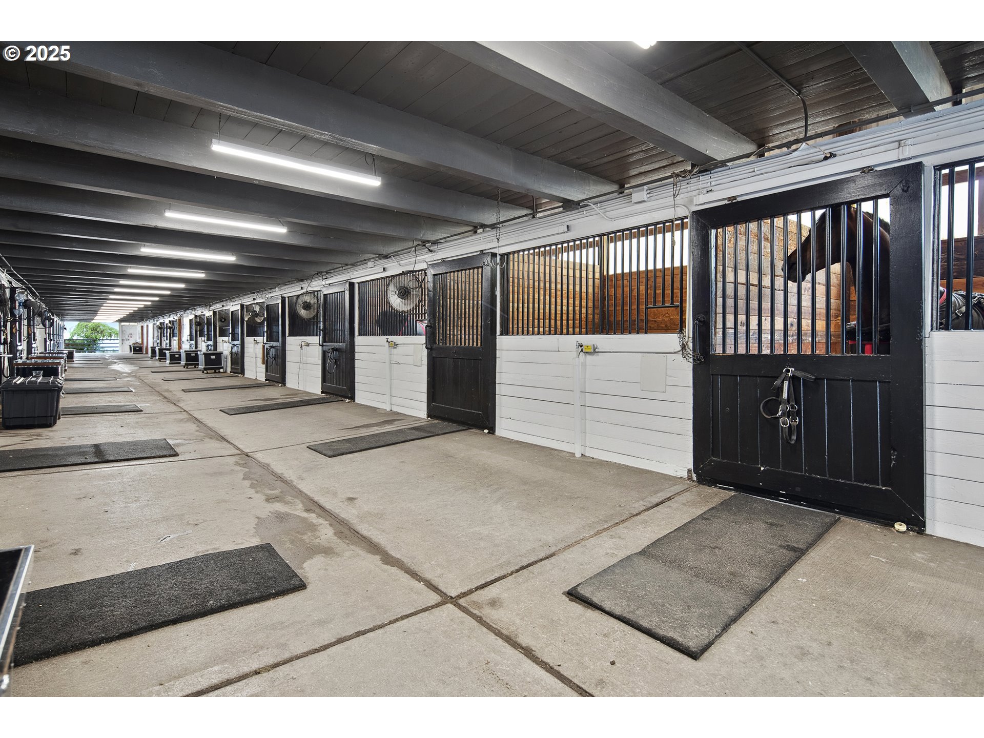 34680 Northeast Kramien Road Newberg, OR 97132 - Photo 7 of 40