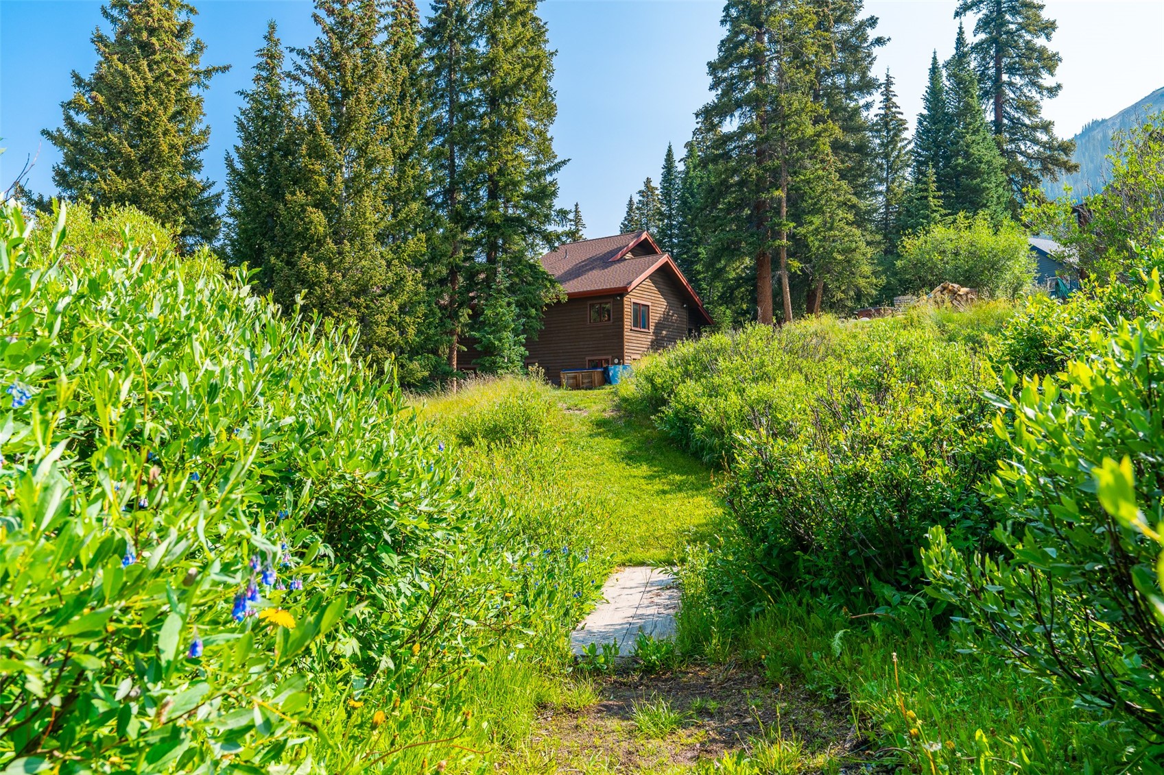 324 Rena Road Breckenridge, CO 80424 - Photo 43 of 50 Gallery Image 43