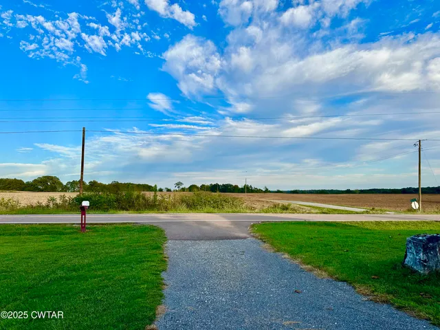 a view of a park with large trees