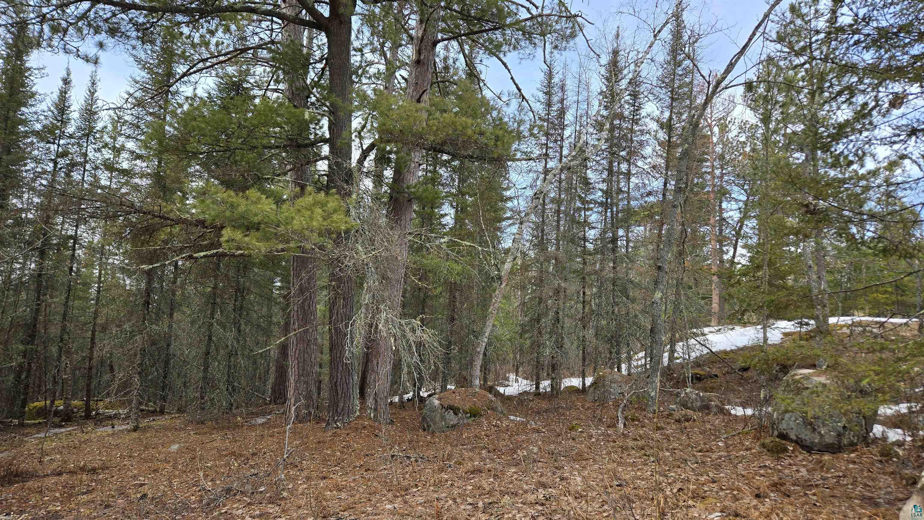 7316 Crane Lake Road Crane Lake, MN 55725 - Photo 3 of 20 View of nature with a view of trees