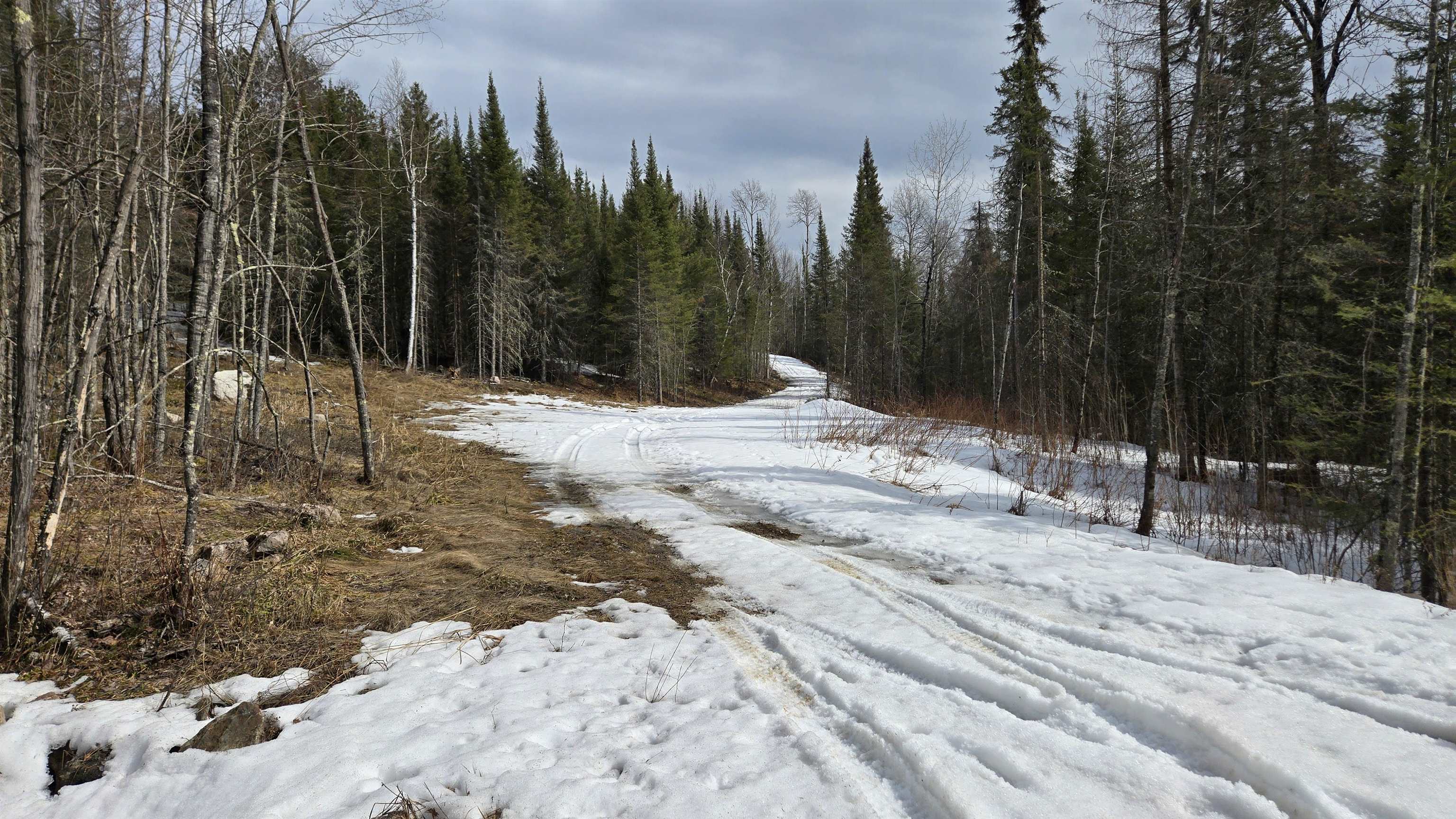 7316 Crane Lake Road Crane Lake, MN 55725 - Photo 8 of 20 Exterior space with a view of trees
